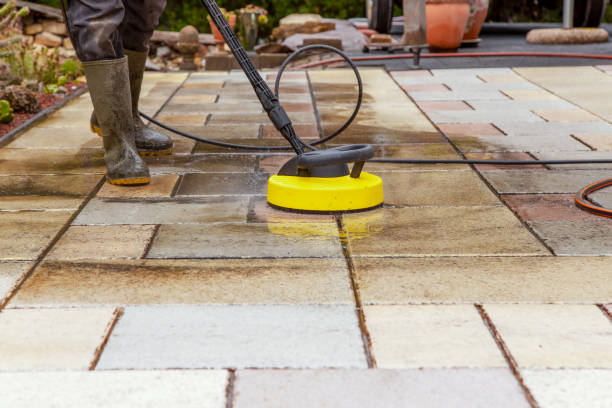 Best Soft Washing for Delicate Surfaces in Indian Lake, TX